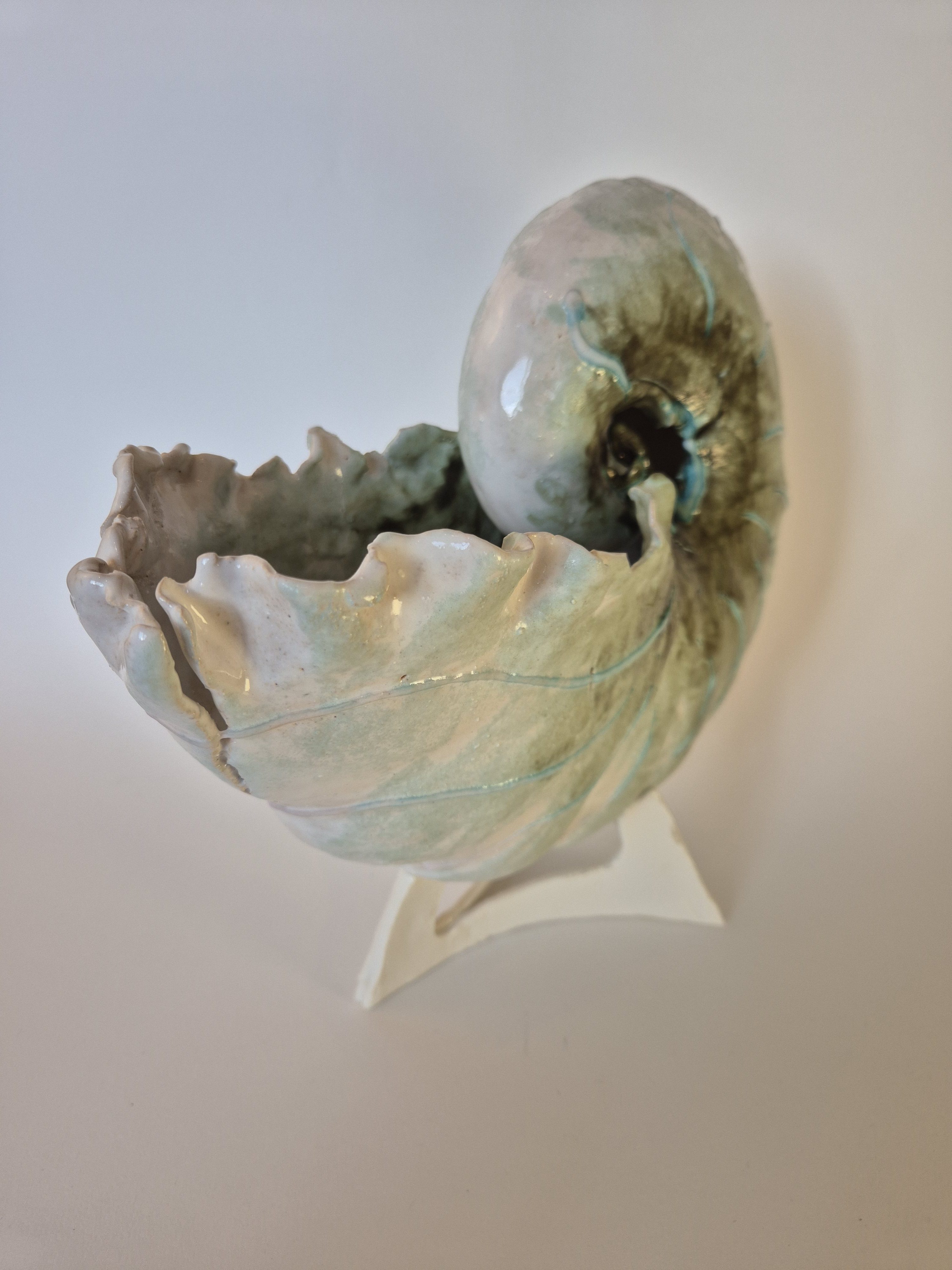 Fossil Type: Nautiloid
Location: Amer Delta (NL)
Time horizon: est. late Cambrian
Condition: average / good
Height: 38 cm / 15 inch
Other specifics: well preserved fossil with rare shino green mineralisation of outer shell