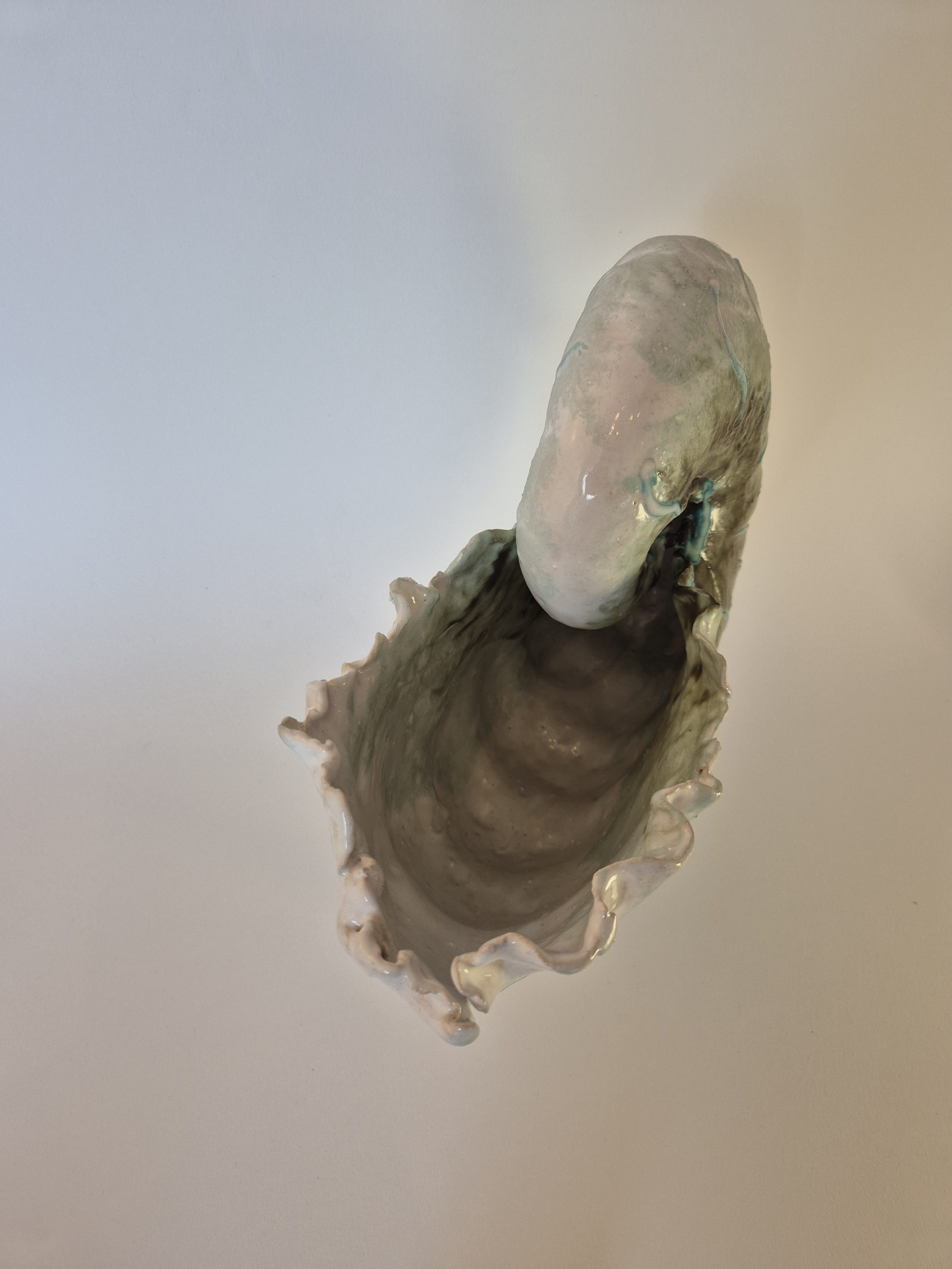 Fossil Type: Nautiloid
Location: Amer Delta (NL)
Time horizon: est. late Cambrian
Condition: average / good
Height: 38 cm / 15 inch
Other specifics: well preserved fossil with rare shino green mineralisation of outer shell