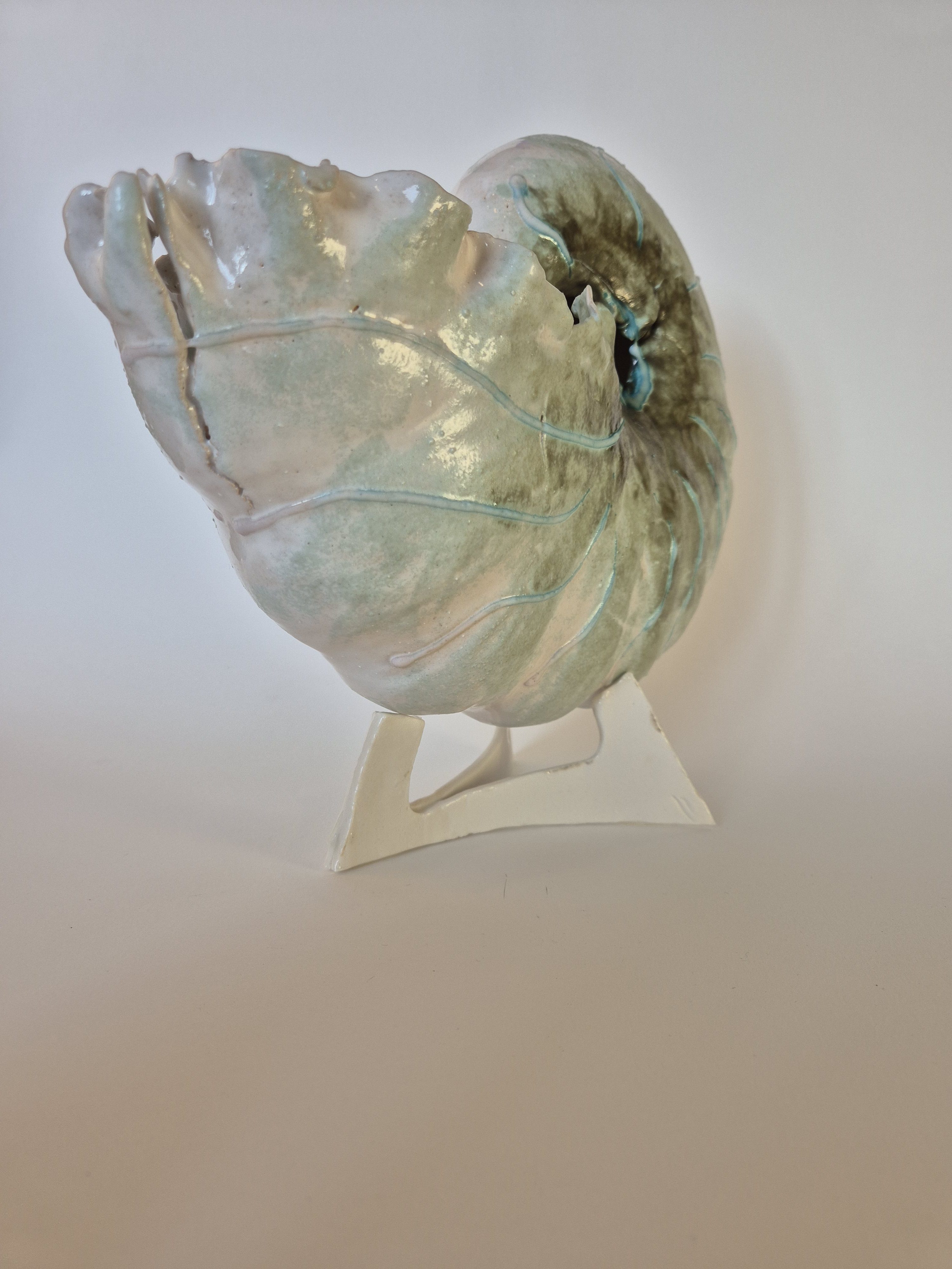 Fossil Type: Nautiloid
Location: Amer Delta (NL)
Time horizon: est. late Cambrian
Condition: average / good
Height: 38 cm / 15 inch
Other specifics: well preserved fossil with rare shino green mineralisation of outer shell