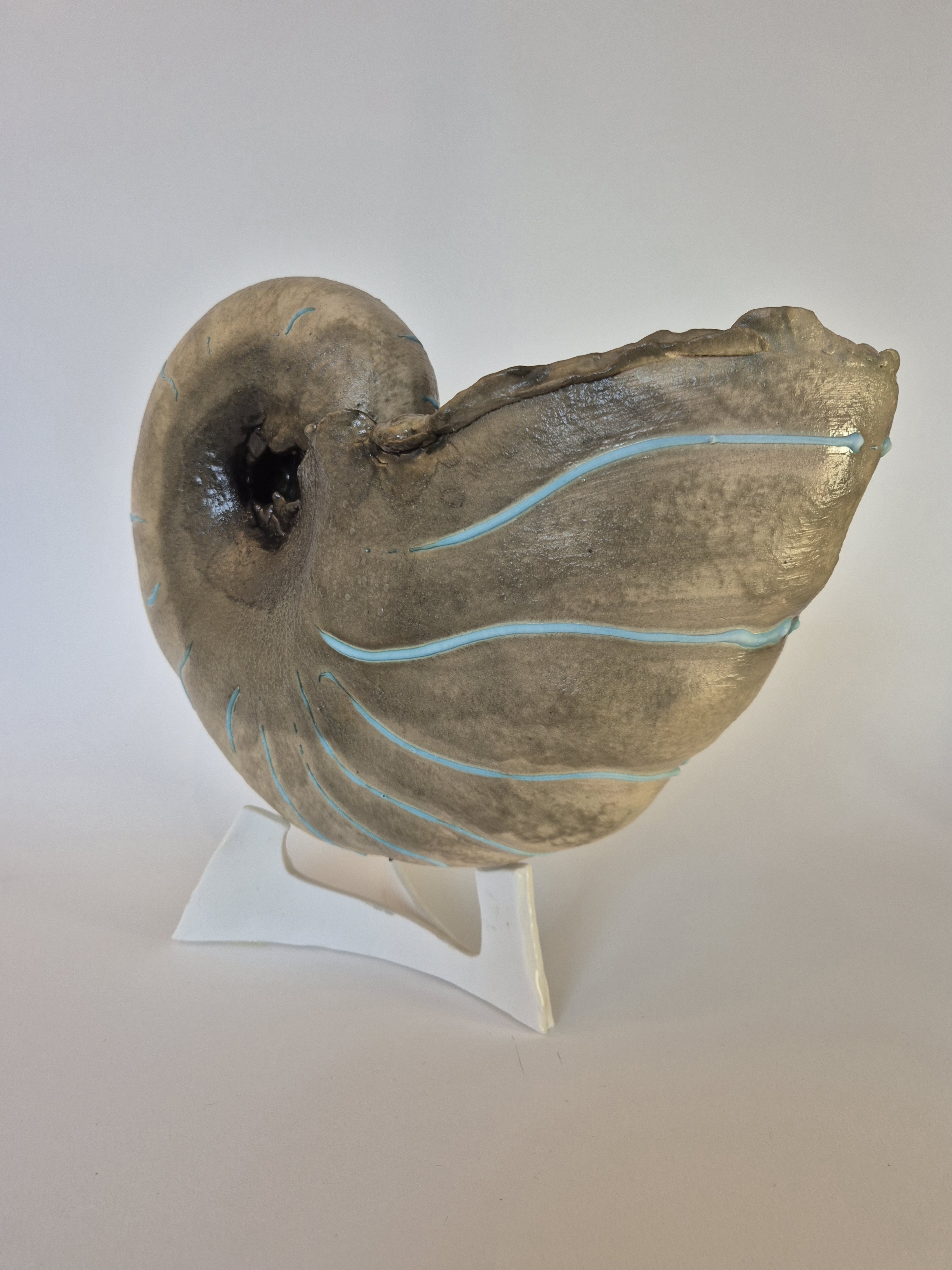 Fossil Type: Nautiloid x Sanctacaris
Location: Amer Delta (NL)
Time horizon: est. late Cambrian
Condition: good
Height: 38 cm / 15 inch
Other specifics: fossil is inhabited by Sanctacaris. Distinct spiraling bands of dark green mineral deposits.