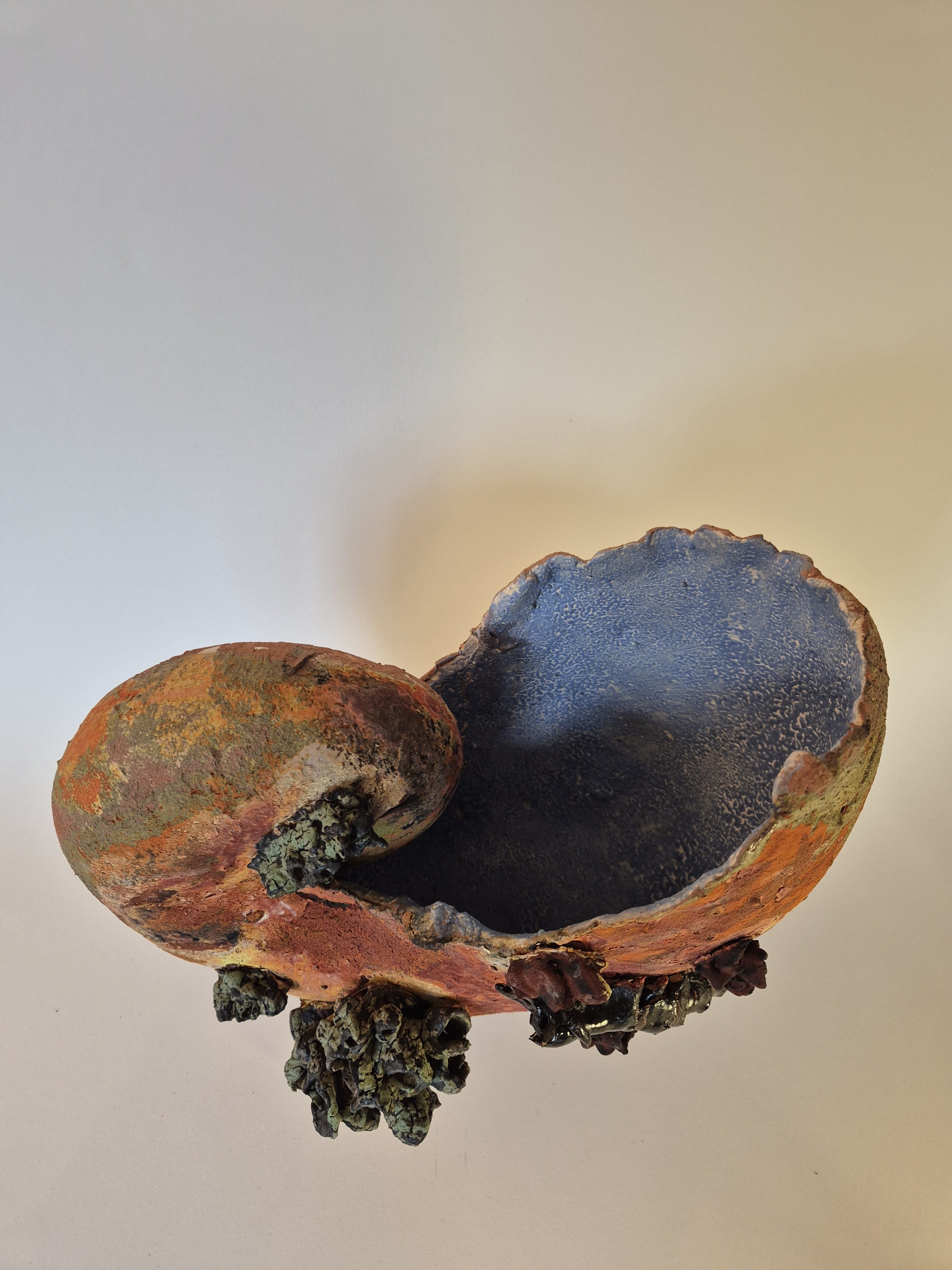 Fossil Type: Nautiloid x Sanctacaris
Location: Amer Delta (NL)
Time horizon: est. late Cambrian
Condition: good
Height: 38 cm / 15 inch
Other specifics: Fossil is inhabited by Sanctacaris Negra