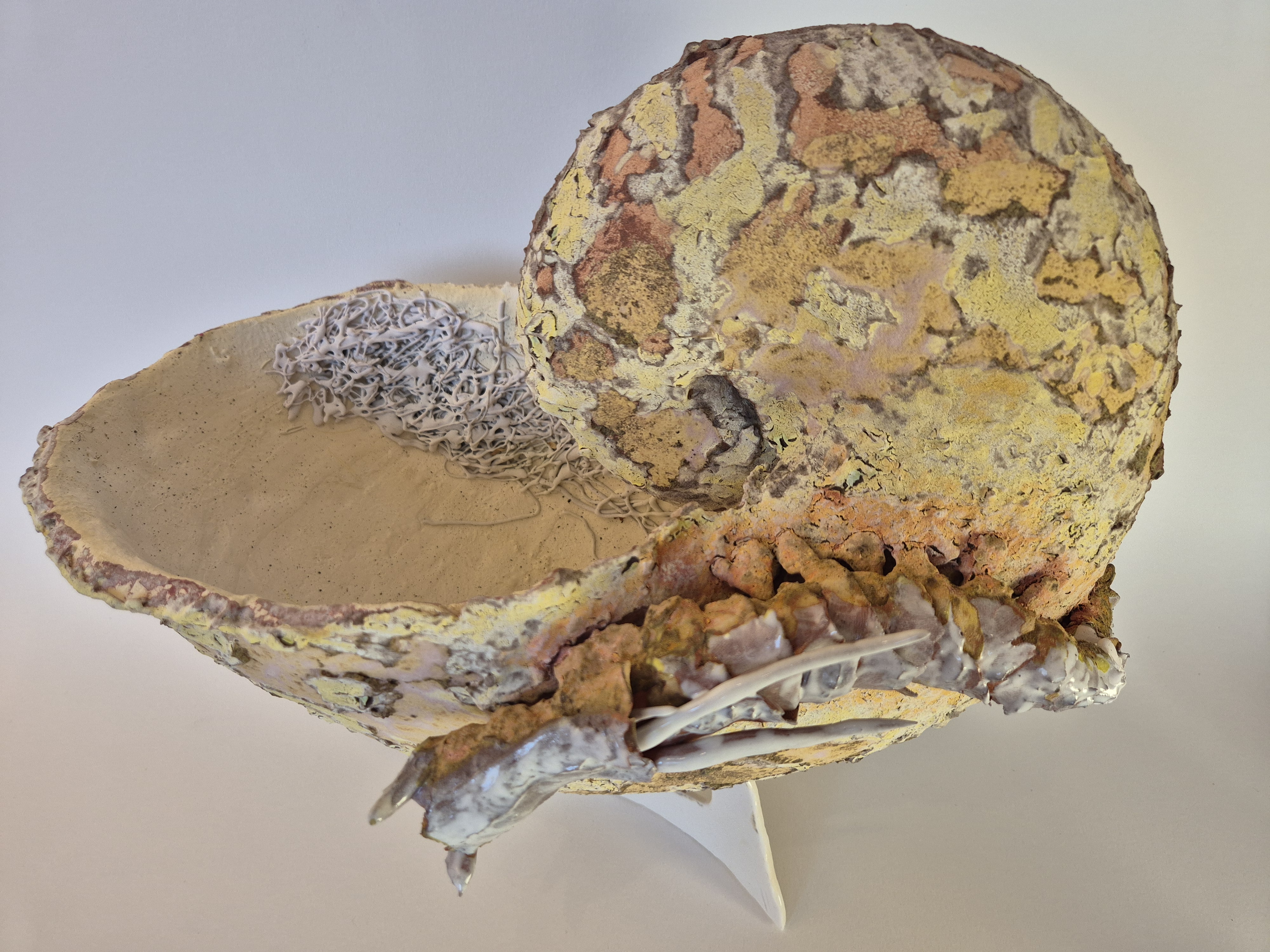 Fossil Type: Nautiloid x Sanctacaris
Location: Amer Delta (NL)
Time horizon: est. late Cambrian
Condition: average / poor
Height: 44 cm / 17 inch
Other specifics: Fossil was nicknamed by the discoverer as the whale due to the wide, nearly circular shell aperture. Detail foto of sanctacaris.