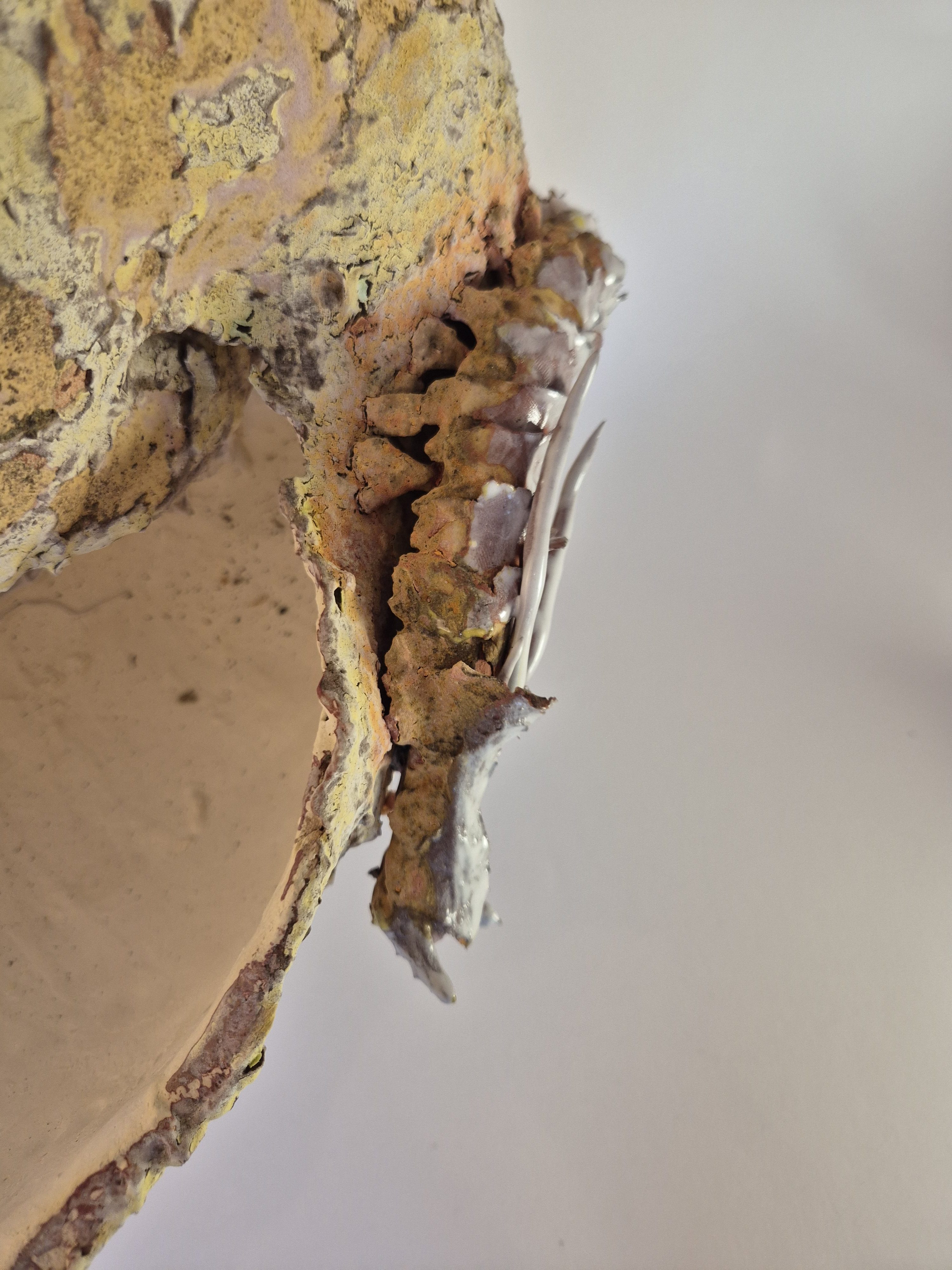 Fossil Type: Nautiloid x Sanctacaris
Location: Amer Delta (NL)
Time horizon: est. late Cambrian
Condition: average / poor
Height: 44 cm / 17 inch
Other specifics: Fossil was nicknamed by the discoverer as the whale due to the wide, nearly circular shell aperture. Detail foto of sanctacaris.