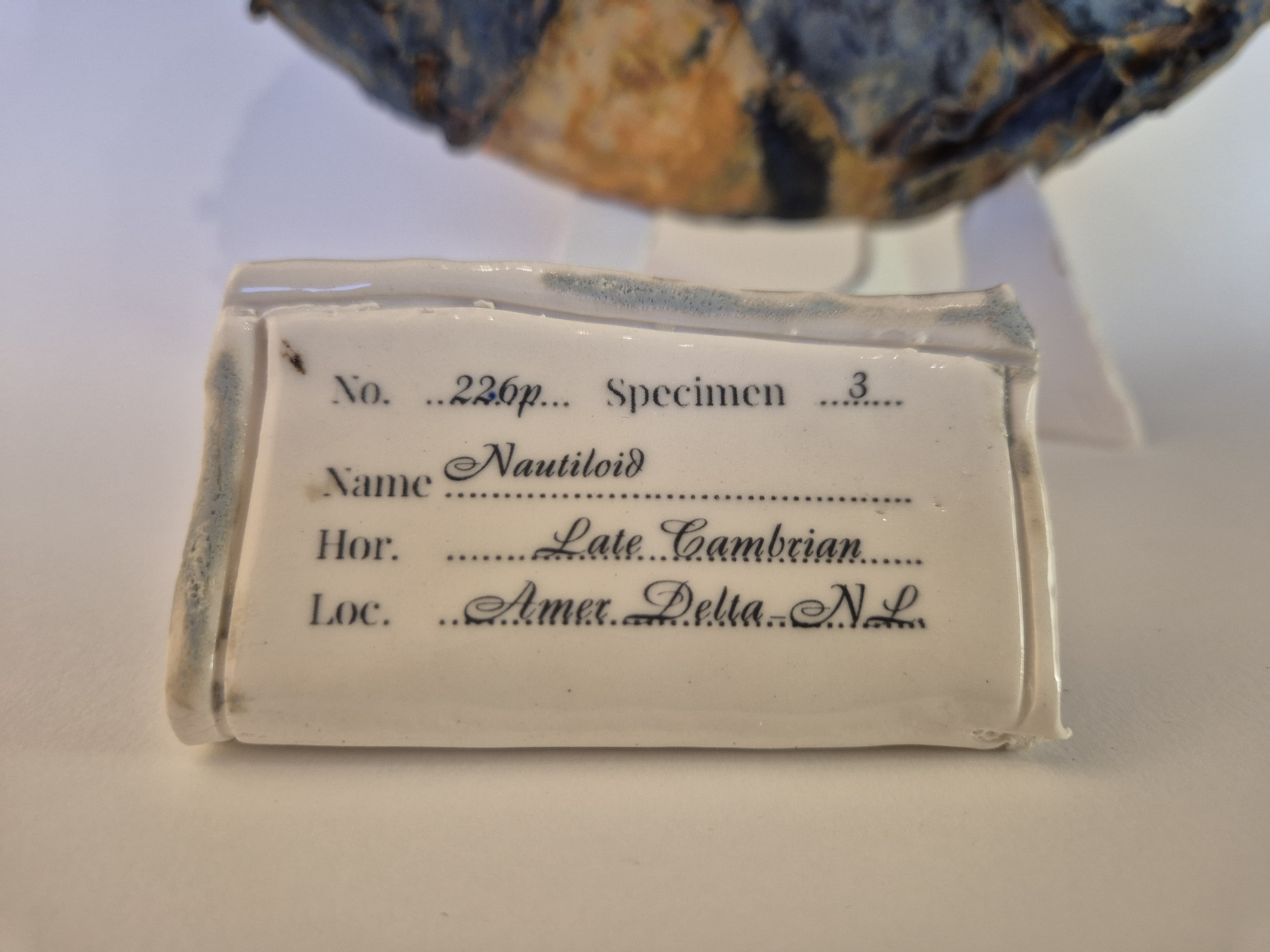 archeological museum tag or label or identification card for Fossil Type: Nautiloid
Location: Amer Delta (NL)
Time horizon: est. late Cambrian
Condition: average / poor
Height: 40 cm / 16 inch
Other specifics: fossil with wide shell aperture comparable to T825-19. Both found in immediate vicinity of each other.