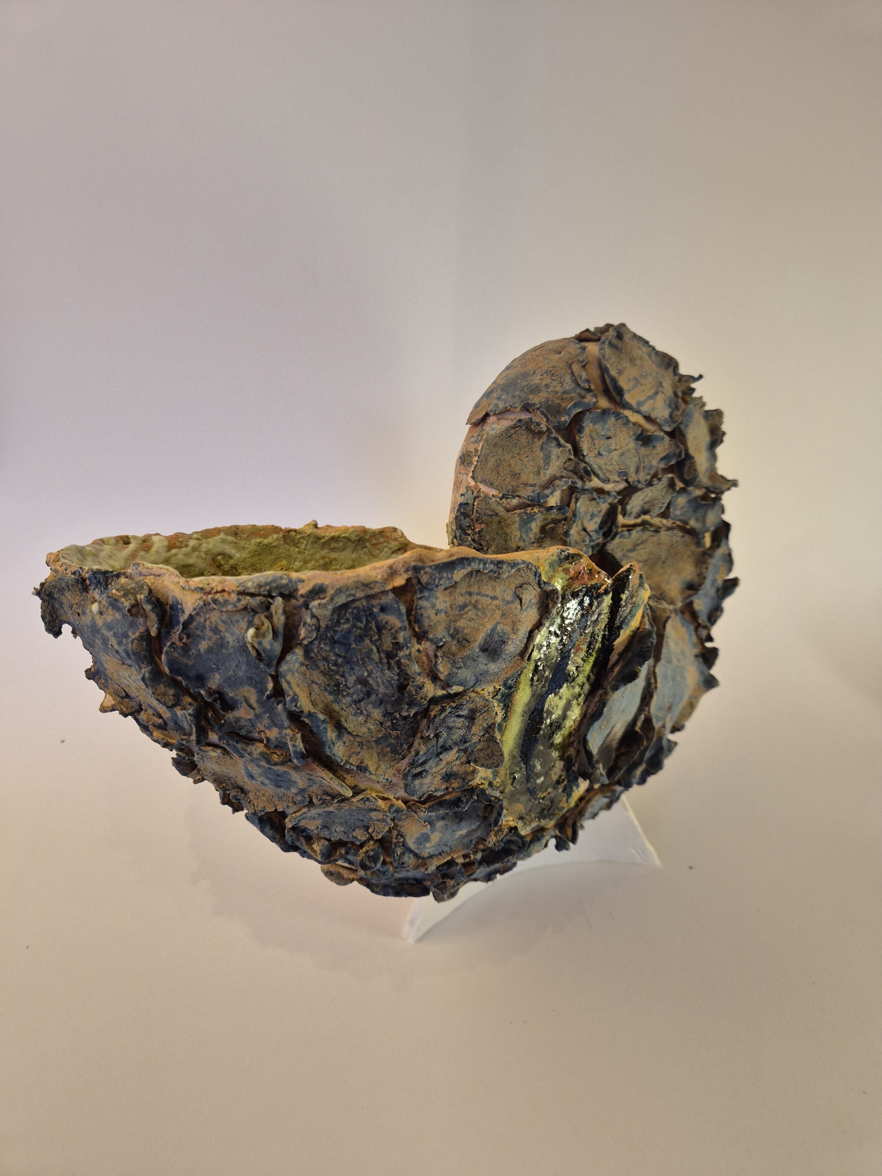 Fossil Type: Nautiloid
Location: Amer Delta (NL)
Time horizon: est. late Cambrian
Condition: average / poor
Height: 40 cm / 16 inch
Other specifics: fossil with wide shell aperture comparable to T825-19. Both found in immediate vicinity of each other.