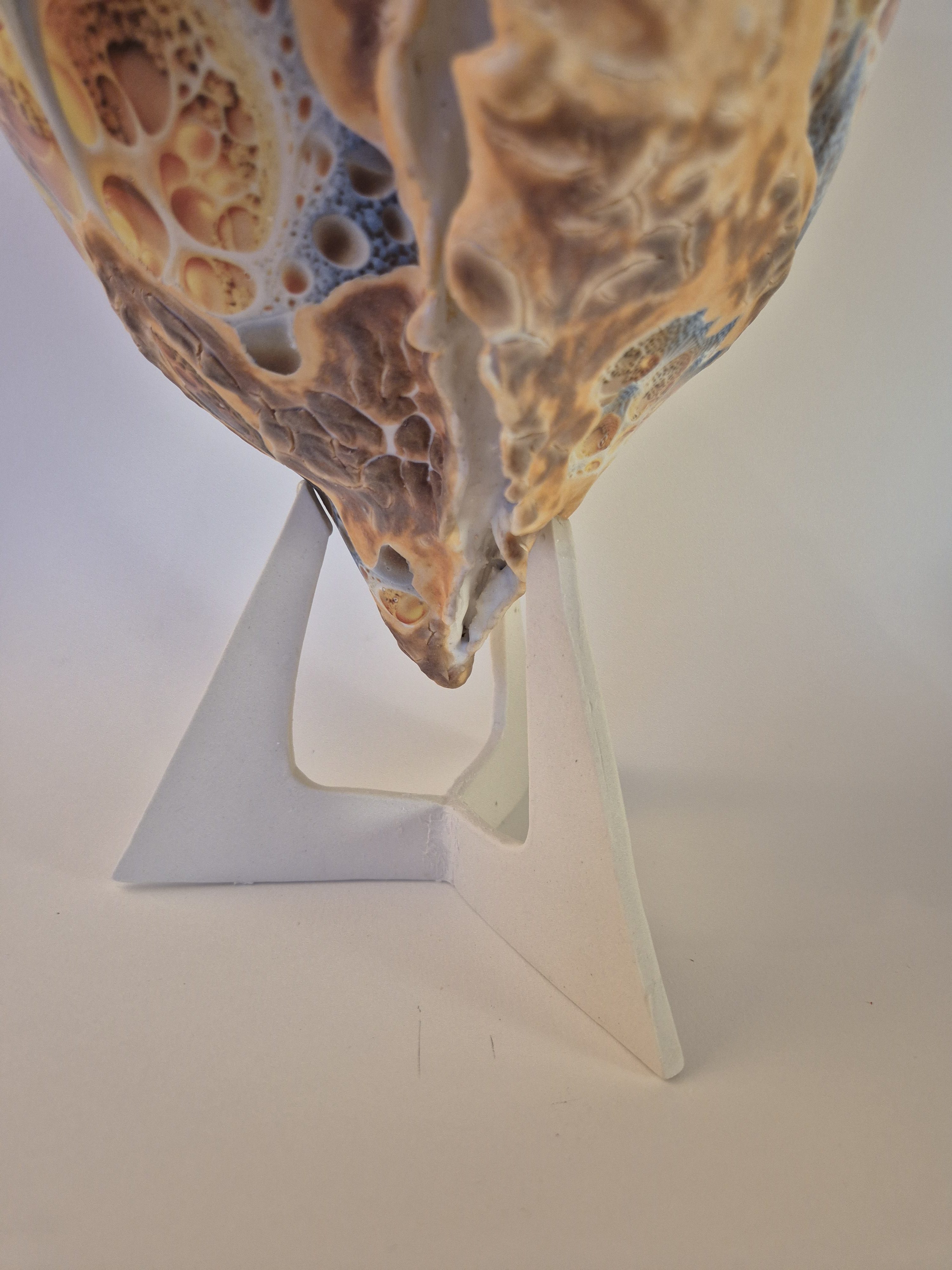 Fossil Type: Turbinella Pyrum
Location: Zanskar Valley (IN)
Time horizon: est. late Cambrian
Condition: good
Height: 44 cm / 17 inch
Other specifics: - originates from deposits linked to Thethys Sea (Cambrian). Today commonly known as a Shankha shell.