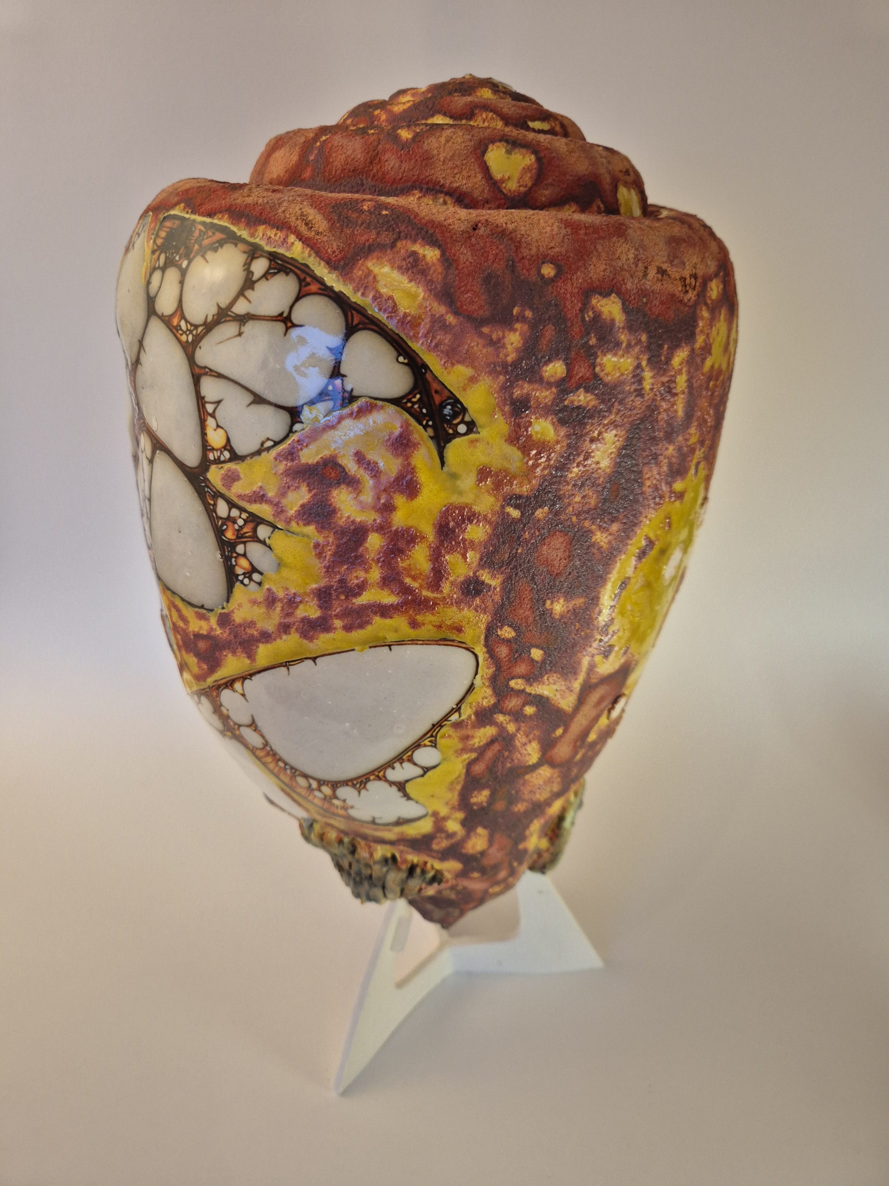 Fossil Type: Turbinella Pyrum
Location: Zanskar Valley (IN)
Time horizon: est. late Cambrian
Condition: good
Height: 44 cm / 17 inch
Other specifics: - originates from deposits linked to Thethys Sea (Cambrian). Today commonly known as a Shankha shell.