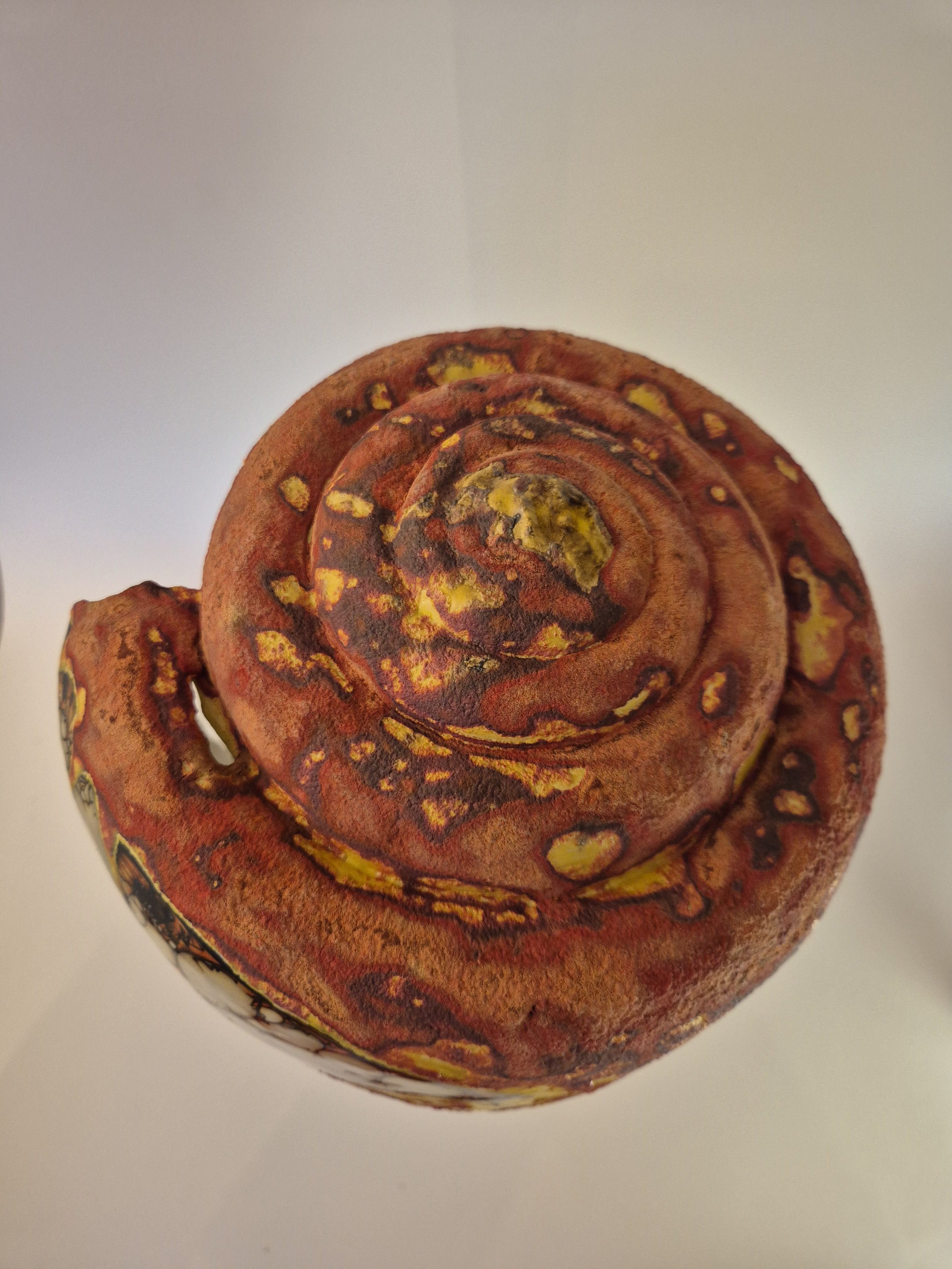 Fossil Type: Turbinella Pyrum
Location: Zanskar Valley (IN)
Time horizon: est. late Cambrian
Condition: good
Height: 44 cm / 17 inch
Other specifics: - originates from deposits linked to Thethys Sea (Cambrian). Today commonly known as a Shankha shell.