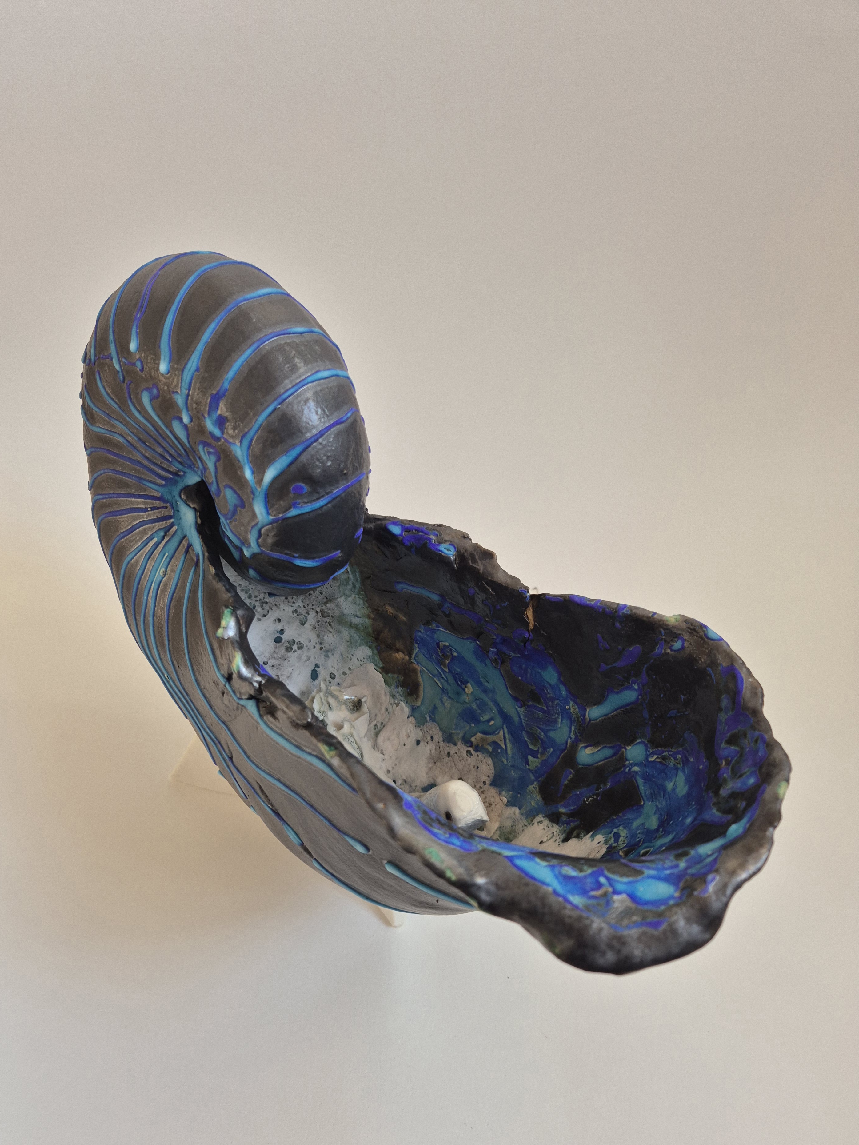 Fossil Type: Nautiloid x Sanctacaris
Location: found in Amer river delta (NL)
Time horizon: est. late Cambrian
Condition: good
Height: 40 cm / 16 inch
Other specifics: still inhabited by Sanctaris