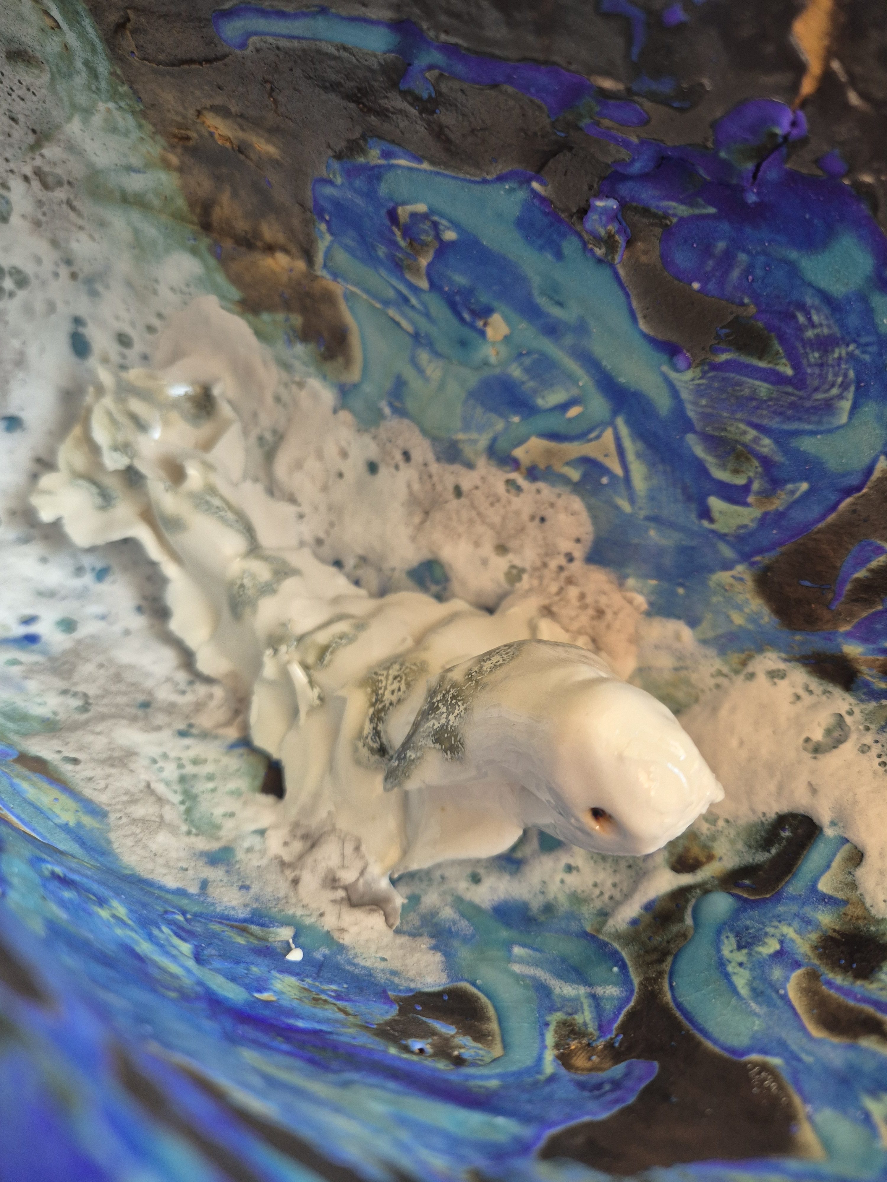 Fossil Type: Nautiloid x Sanctacaris
Location: found in Amer river delta (NL)
Time horizon: est. late Cambrian
Condition: good
Height: 40 cm / 16 inch
close up detail of Sanctaris