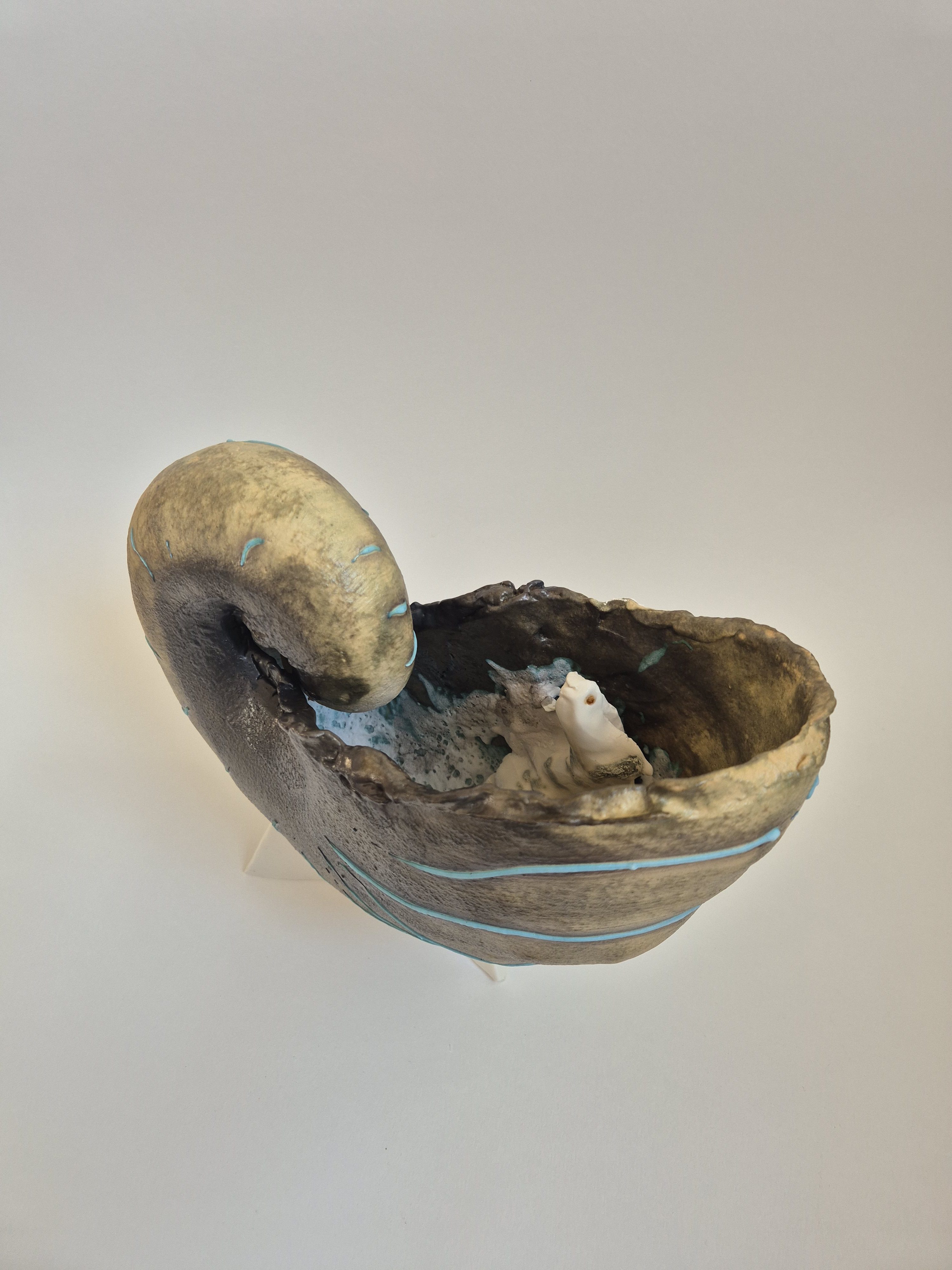 Fossil Type: Nautiloid x Sanctacaris
Location: Amer Delta (NL)
Time horizon: est. late Cambrian
Condition: good
Height: 38 cm / 15 inch
Other specifics: fossil is inhabited by Sanctacaris. Distinct spiraling bands of dark green mineral deposits.
Sanctacaris clearly visible.