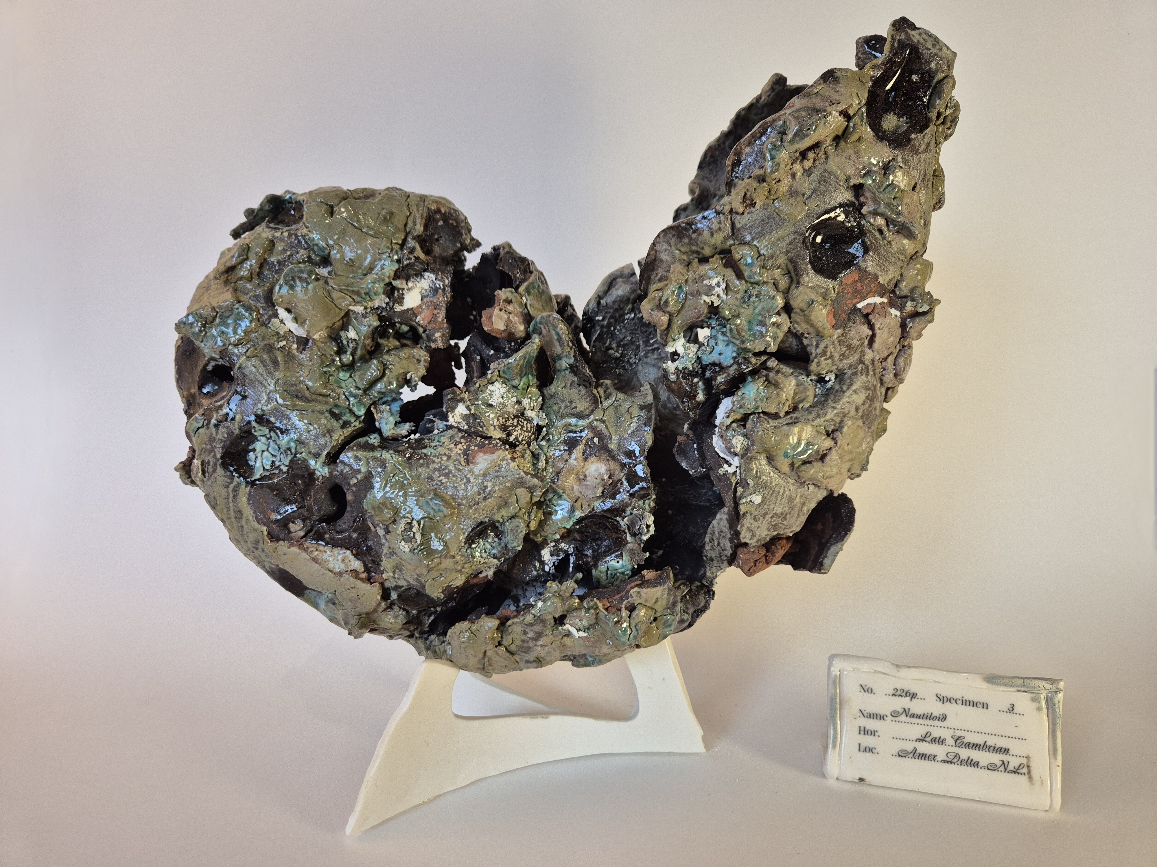 Fossil Type: Nautiloid
Location: found in Amer river delta (NL)
Time horizon: est. late Cambrian
Condition: poor
Height: 41 cm / 16 inch
Other specifics: - important find, indicative of deep marine life in thus far considered shallow depths of Amer Delta