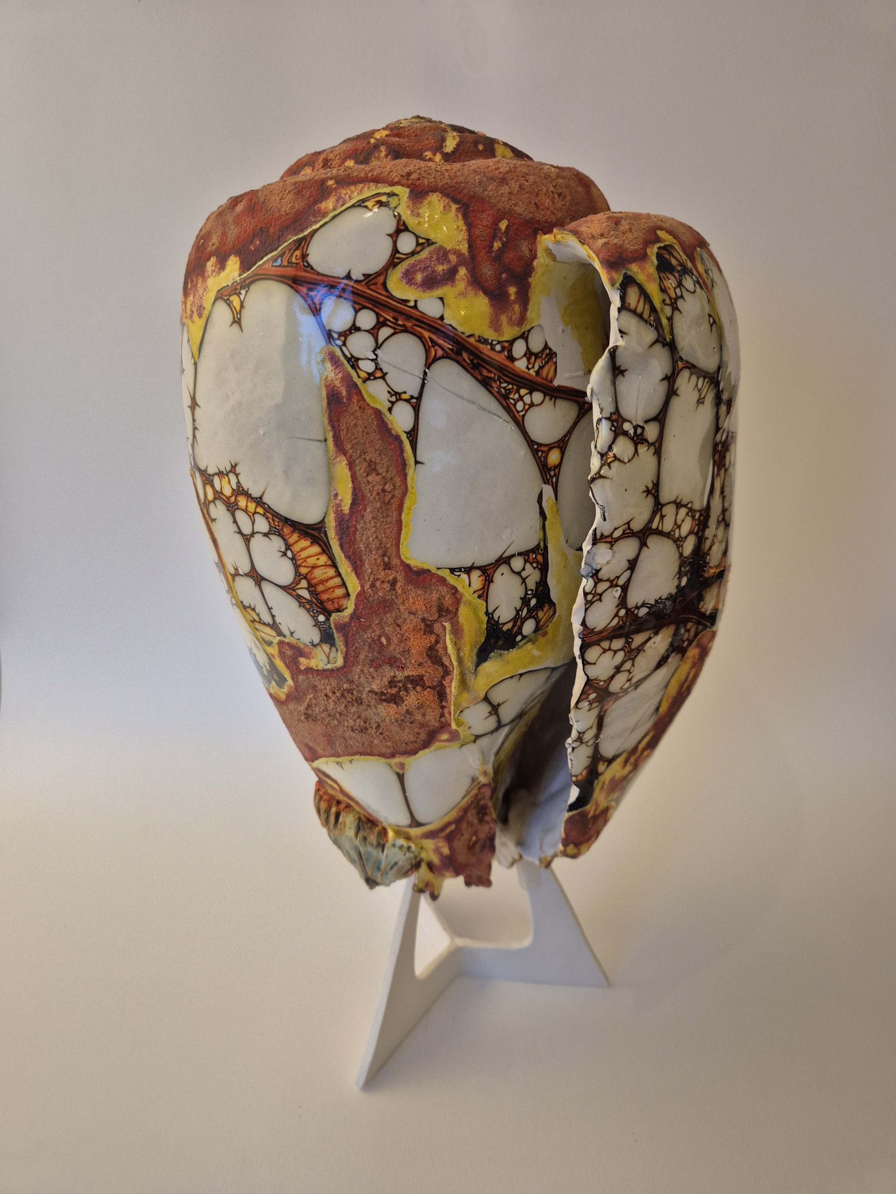 Fossil Type: Turbinella Pyrum
Location: Zanskar Valley (IN)
Time horizon: est. late Cambrian
Condition: good
Height: 44 cm / 17 inch
Other specifics: - originates from deposits linked to Thethys Sea (Cambrian). Today commonly known as a Shankha shell.