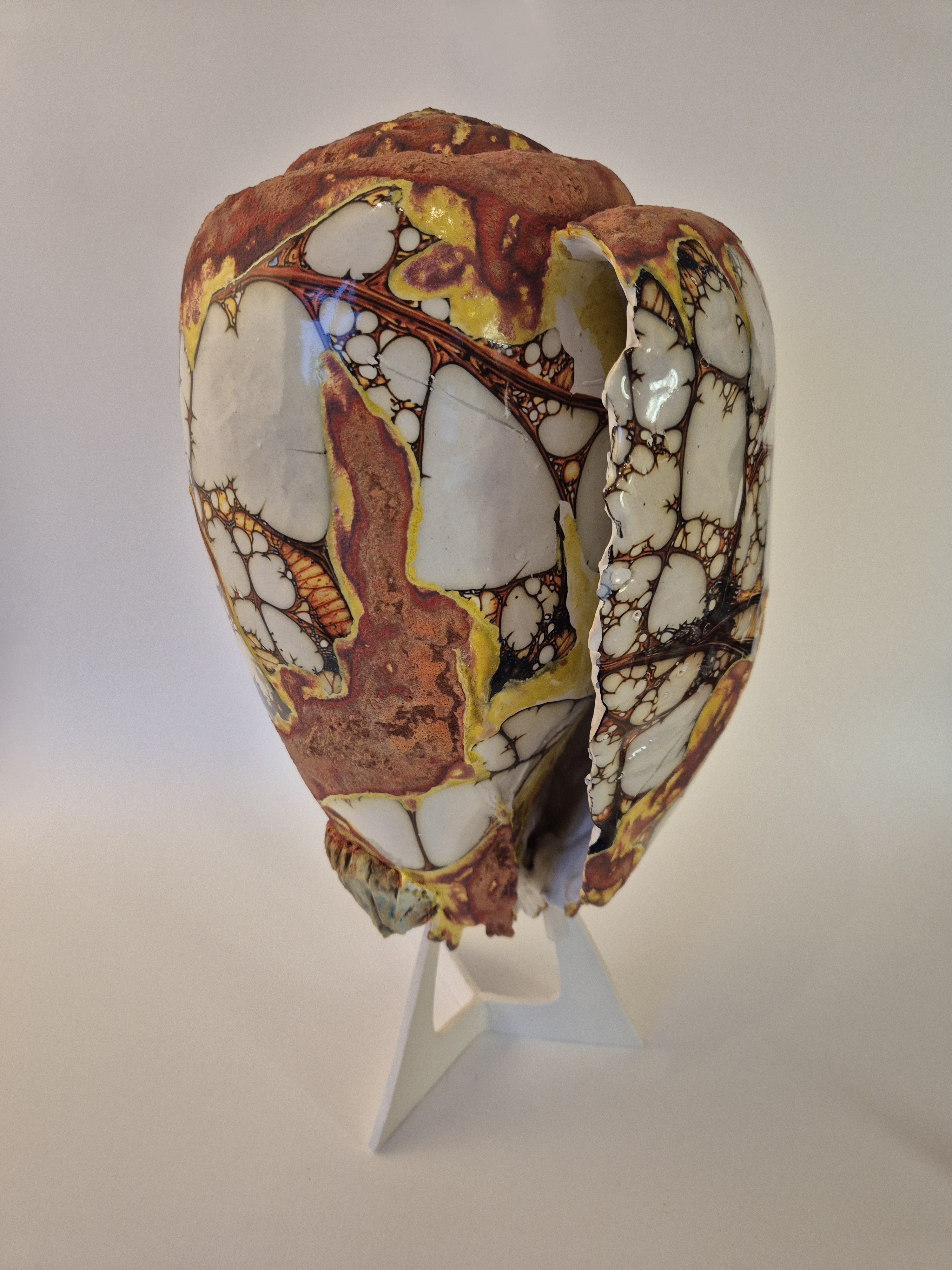 Fossil Type: Turbinella Pyrum
Location: Zanskar Valley (IN)
Time horizon: est. late Cambrian
Condition: good
Height: 44 cm / 17 inch
Other specifics: - originates from deposits linked to Thethys Sea (Cambrian). Today commonly known as a Shankha shell.