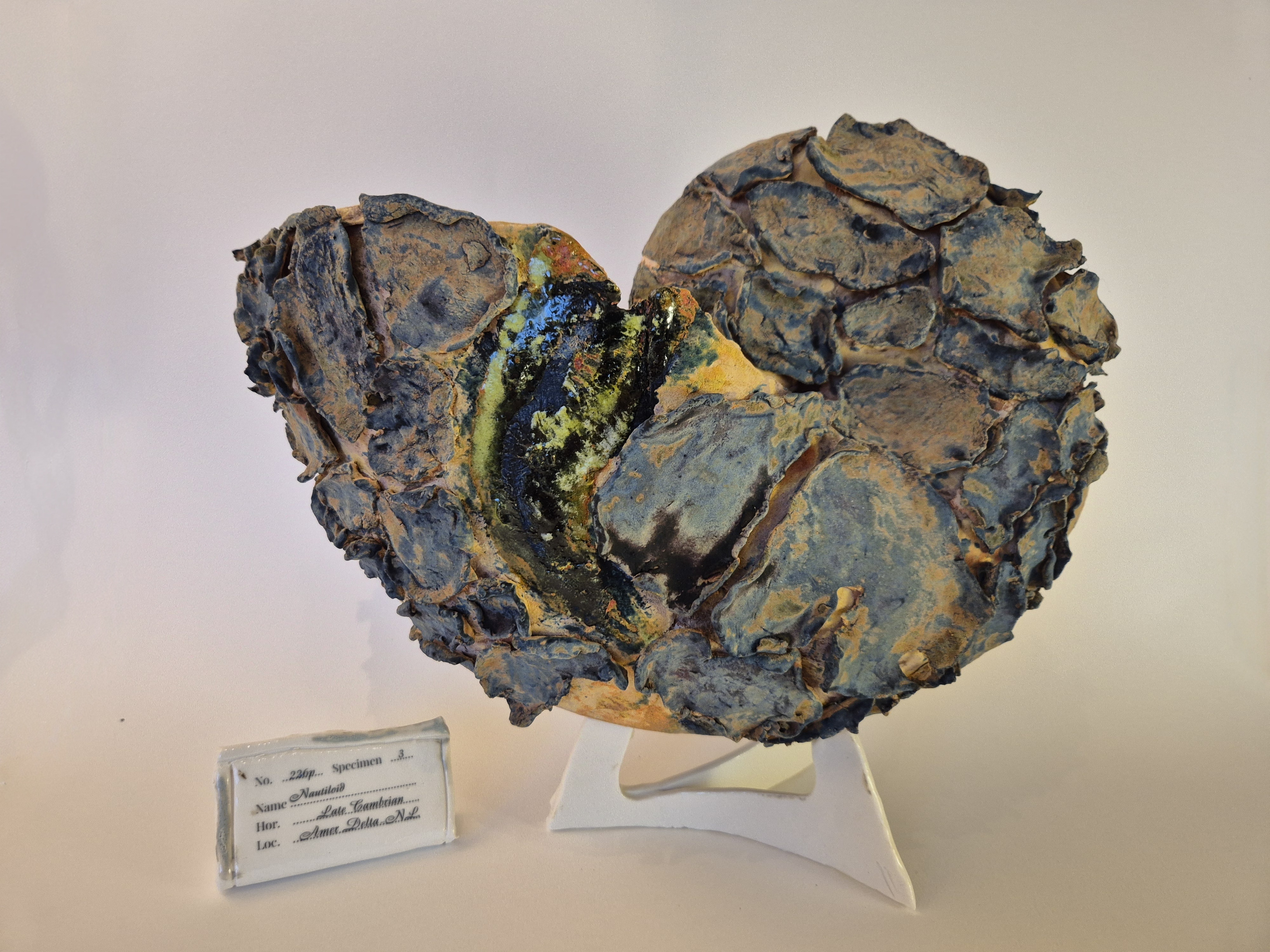 Fossil Type: Nautiloid
Location: Amer Delta (NL)
Time horizon: est. late Cambrian
Condition: average / poor
Height: 40 cm / 16 inch
Other specifics: fossil with wide shell aperture comparable to T825-19. Both found in immediate vicinity of each other.