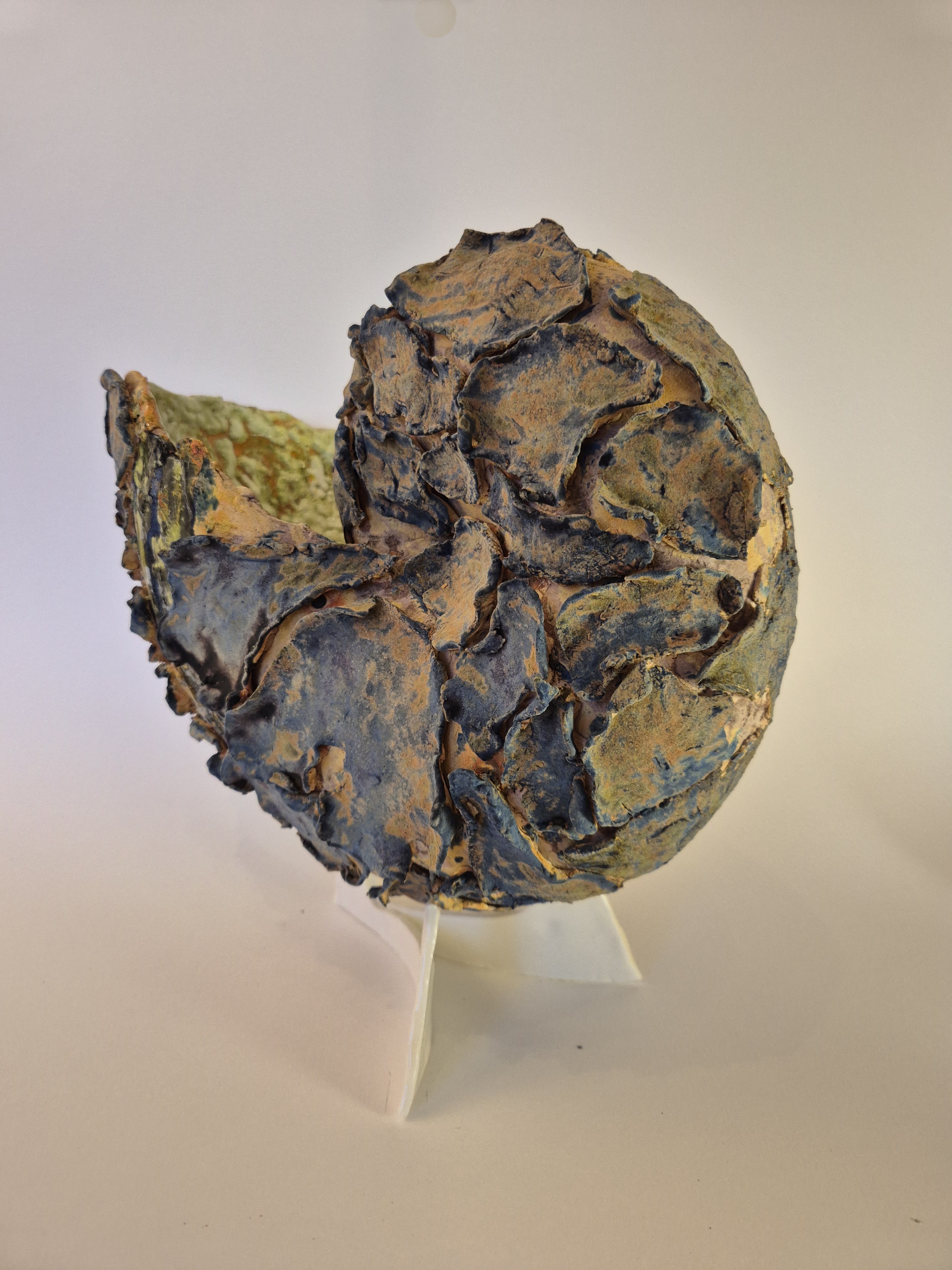 Fossil Type: Nautiloid
Location: Amer Delta (NL)
Time horizon: est. late Cambrian
Condition: average / poor
Height: 40 cm / 16 inch
Other specifics: fossil with wide shell aperture comparable to T825-19. Both found in immediate vicinity of each other.