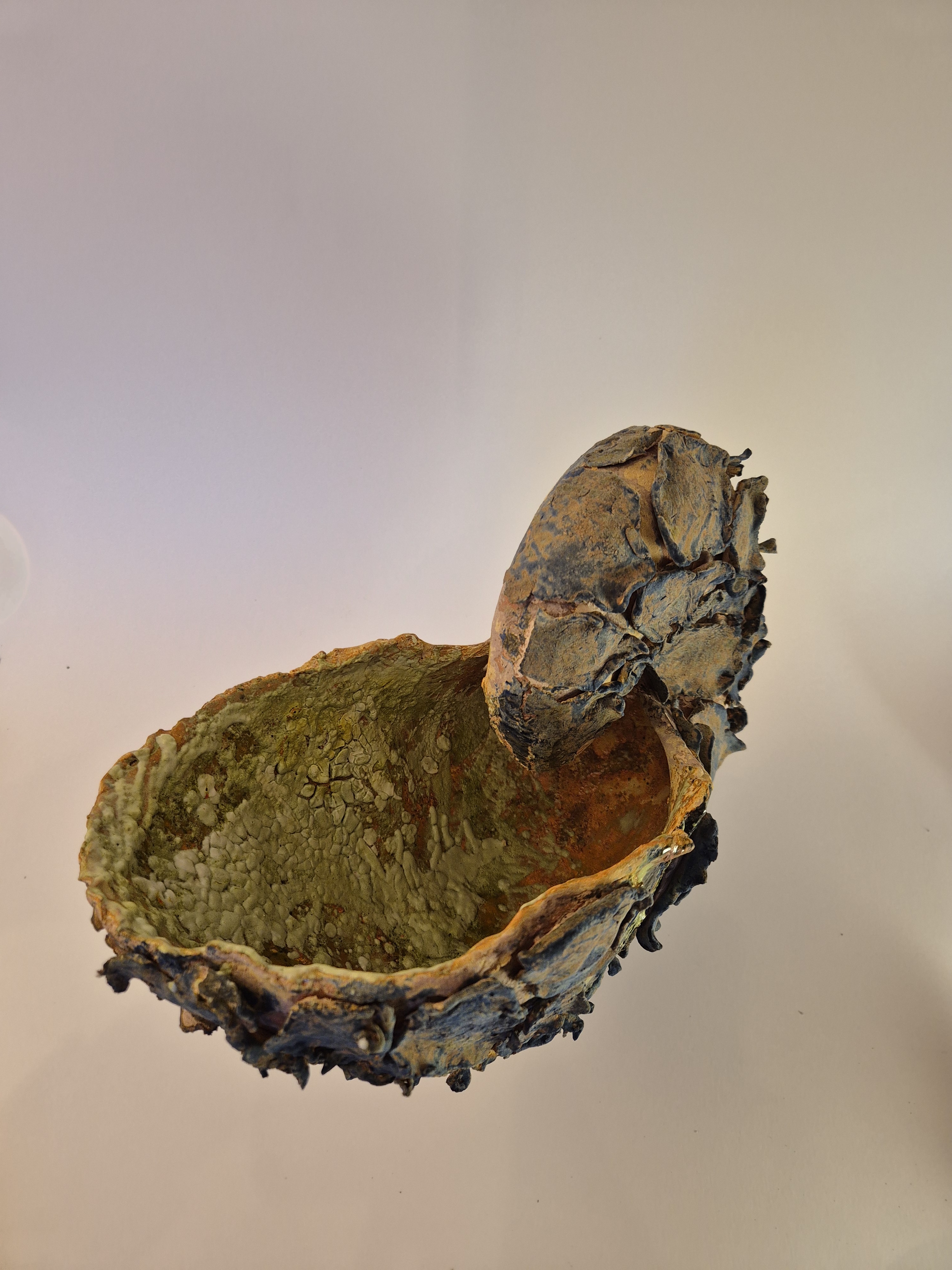 Fossil Type: Nautiloid
Location: Amer Delta (NL)
Time horizon: est. late Cambrian
Condition: average / poor
Height: 40 cm / 16 inch
Other specifics: fossil with wide shell aperture comparable to T825-19. Both found in immediate vicinity of each other.