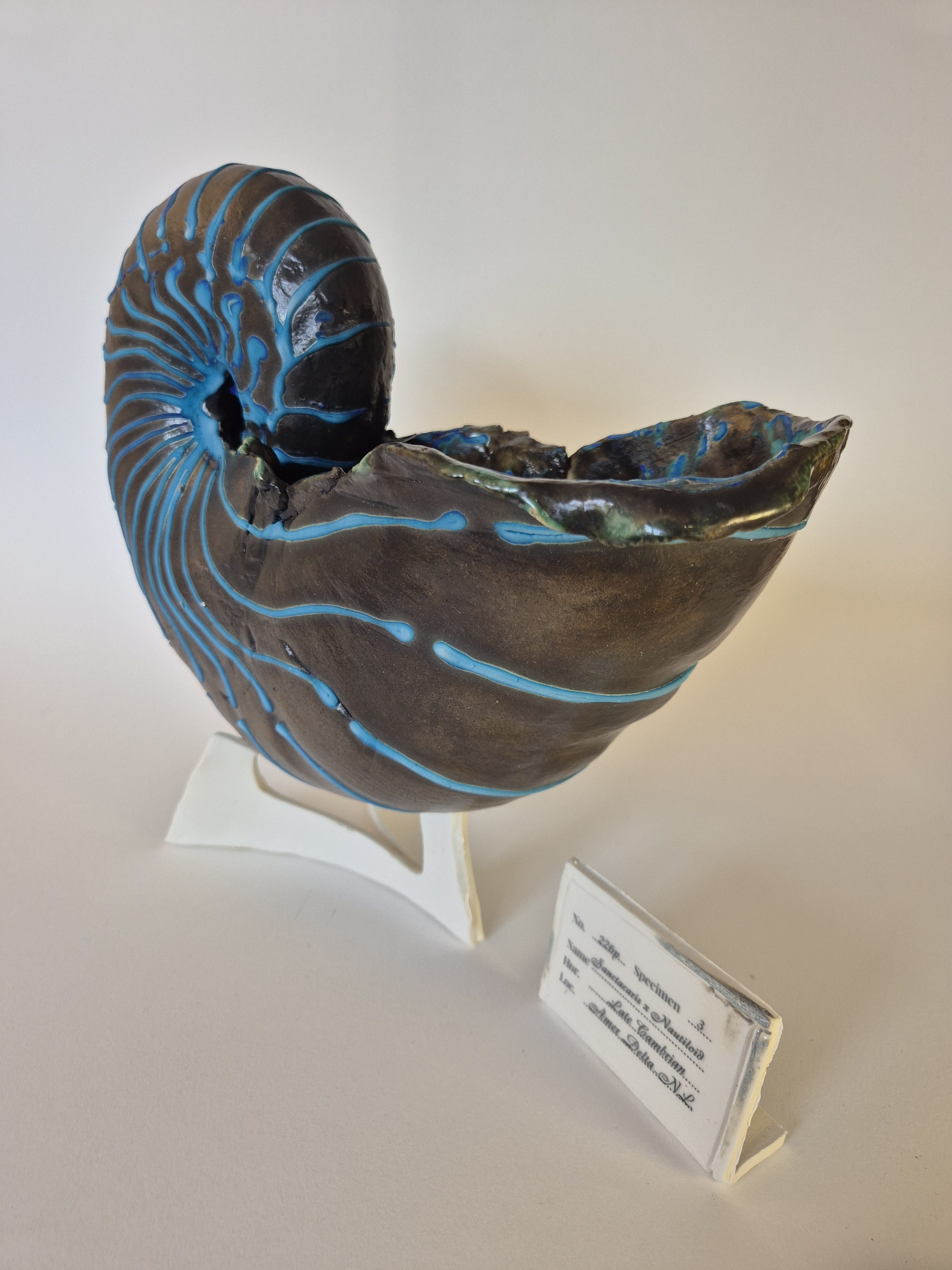 Fossil Type: Nautiloid x Sanctacaris
Location: found in Amer river delta (NL)
Time horizon: est. late Cambrian
Condition: good
Height: 40 cm / 16 inch
Other specifics: still inhabited by Sanctaris