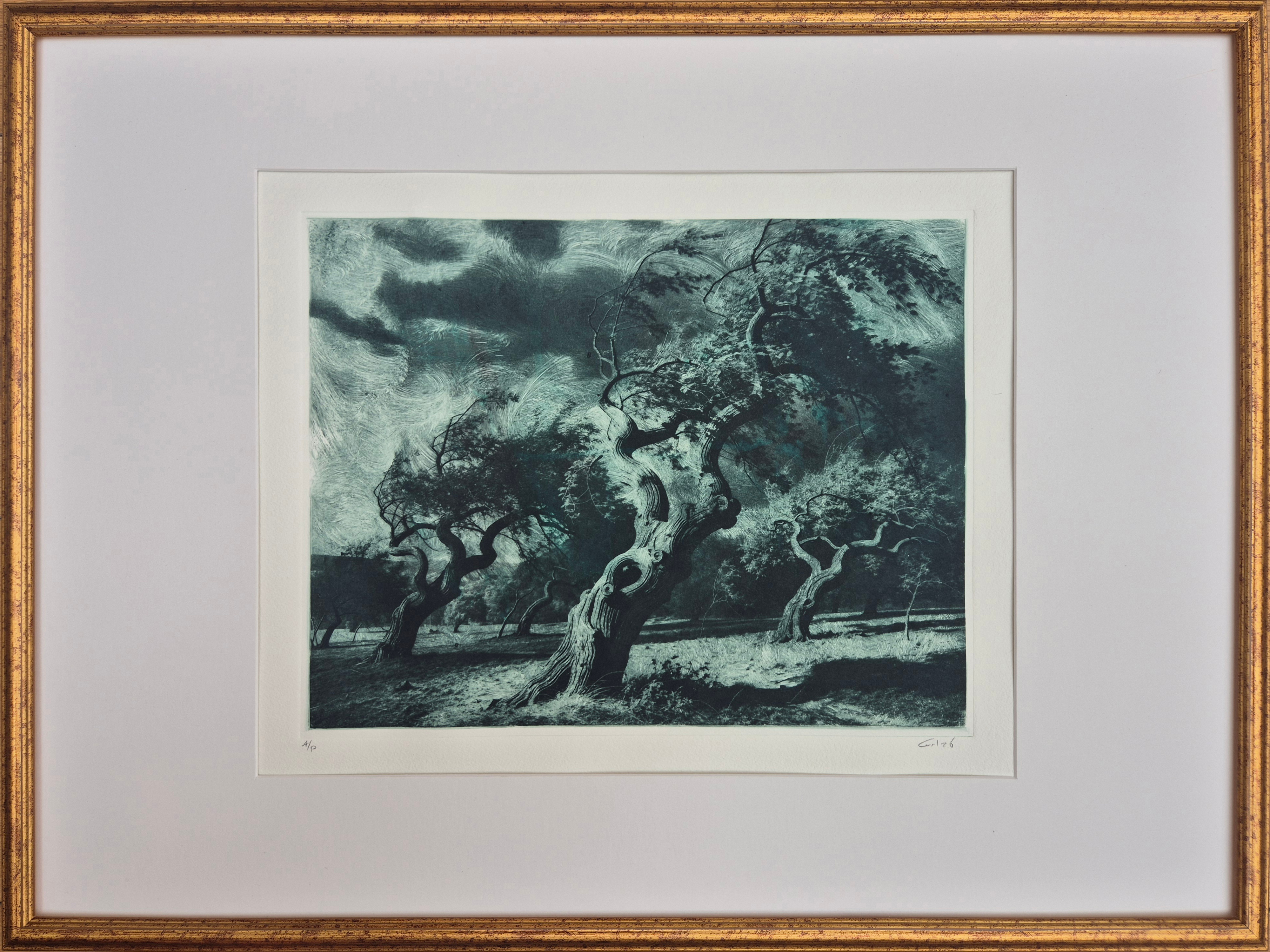engraving of orchard with old trees